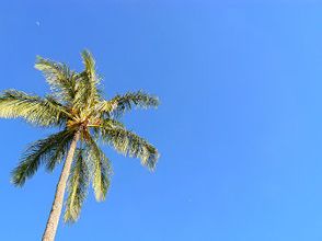 ハワイのヤシの木と青空