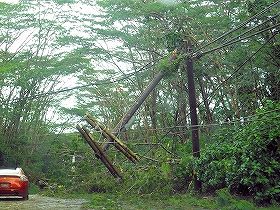 ヒロ直撃の台風で折れた電柱