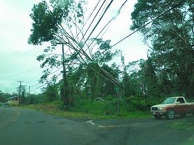 ヒロ直撃の台風で樹木が電線を切断